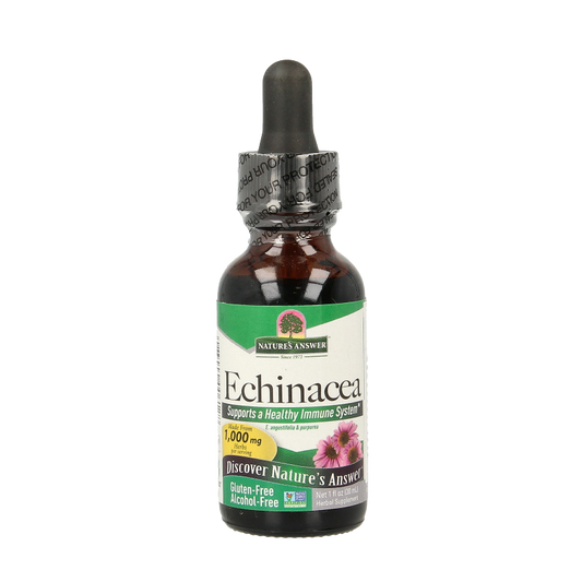 Natures Answer Echinacea extract in 30ml alcohol-free herbal preparation bottle, natural herbal supplement for immune support
