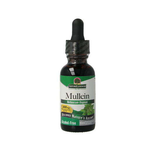 Natures Answer Mullein verbascum thapsus extract alcohol-free in a 30ml bottle, herbal supplement for respiratory support.