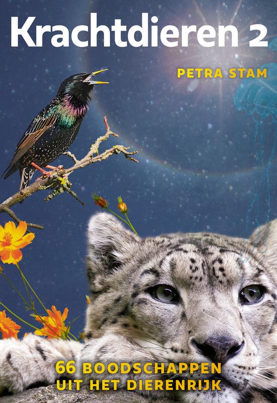 A3 boeken Krachtdieren 2-kaartenset featuring colorful animal illustrations on cards, designed for spiritual or motivational use.