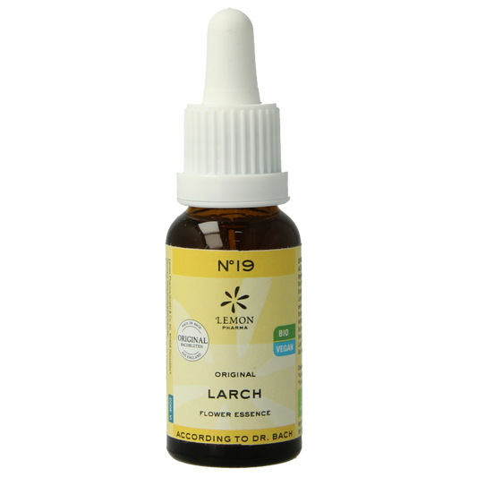 Bach Bloesem remedies Larch herbal preparation in a 20ml bottle, natural herbal tincture with a dropper cap for Bach flower therapy.