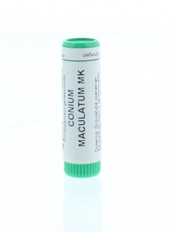 Homeoden Heel Conium maculatum MK 1.00 Gram