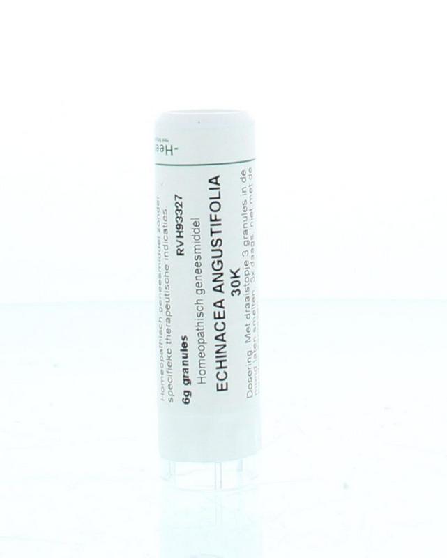 Homeoden Heel Echinacea angustifolia 30K 6.00 Gram
