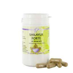 Holisan Shilayur Forte 45 vegetarian herbal capsules, showing the supplement bottle with label and capsules inside.