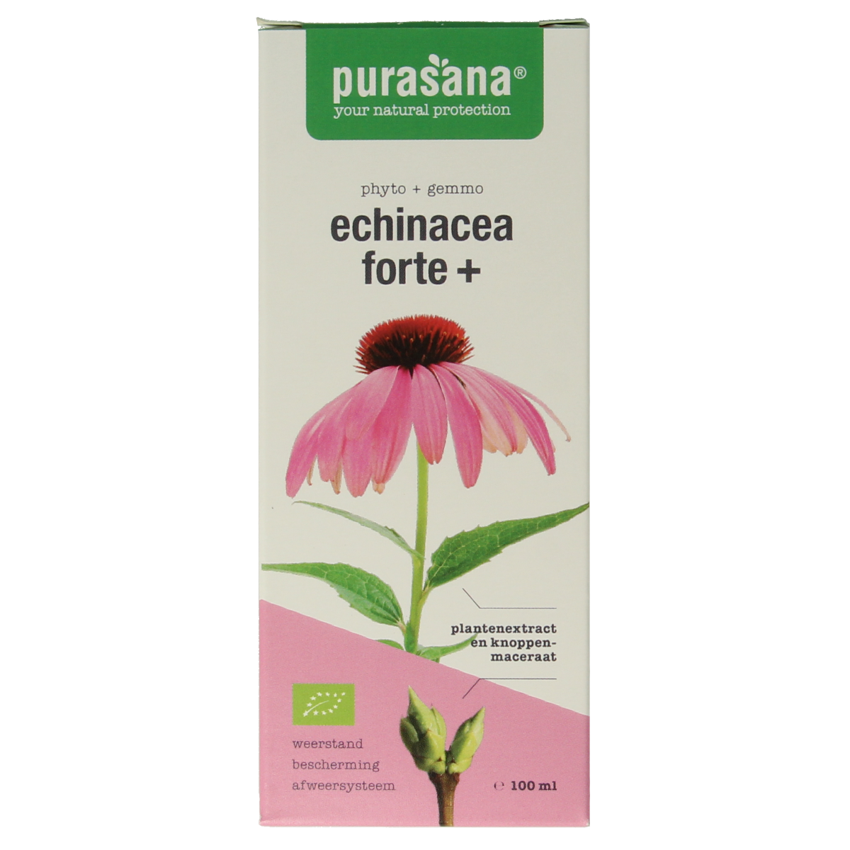 Purasana Echinacea forte + vegan bio  100.00 Milliliter