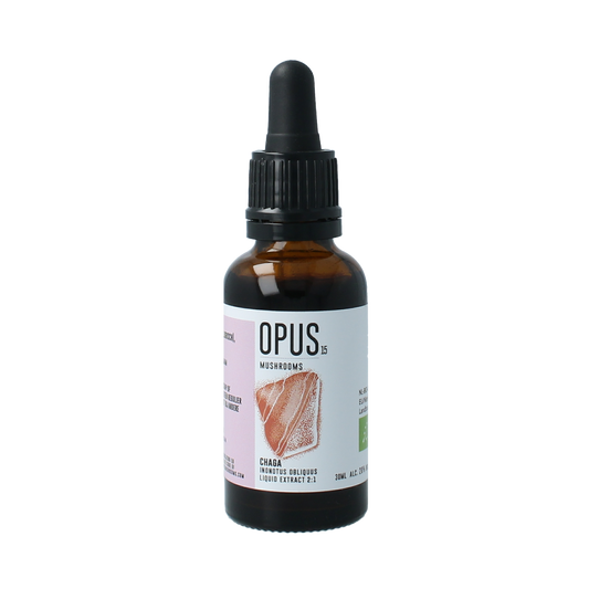 Opus Mushrooms Chaga 2:1 bio herbal extract in a 30ml bottle, part of the Kruidenpreparaten product line, with label and dropper cap.