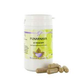 Holisan Punarnava vegetarian capsules in a bottle, herbal supplement for natural health and wellness.