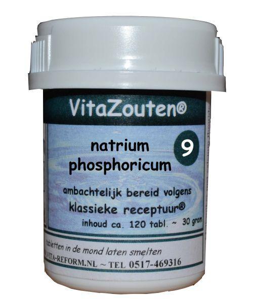 Vitazouten Natrium phosphoricum VitaZout nr. 09 120 Tabletten
