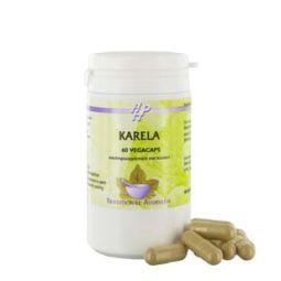 Holisan Karela vegetarian capsules in a bottle, herbal supplement for wellness, with green and white packaging visible.
