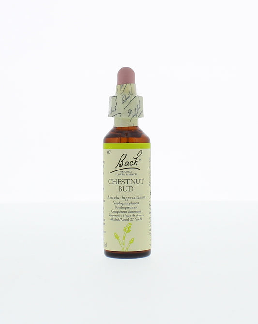 Bach Chestnut bud/kastanjeknop 20.00 Milliliter