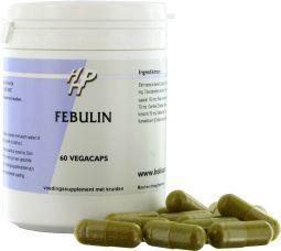 Holisan Febulin herbal supplement in a bottle of 60 capsules for natural health and wellness.