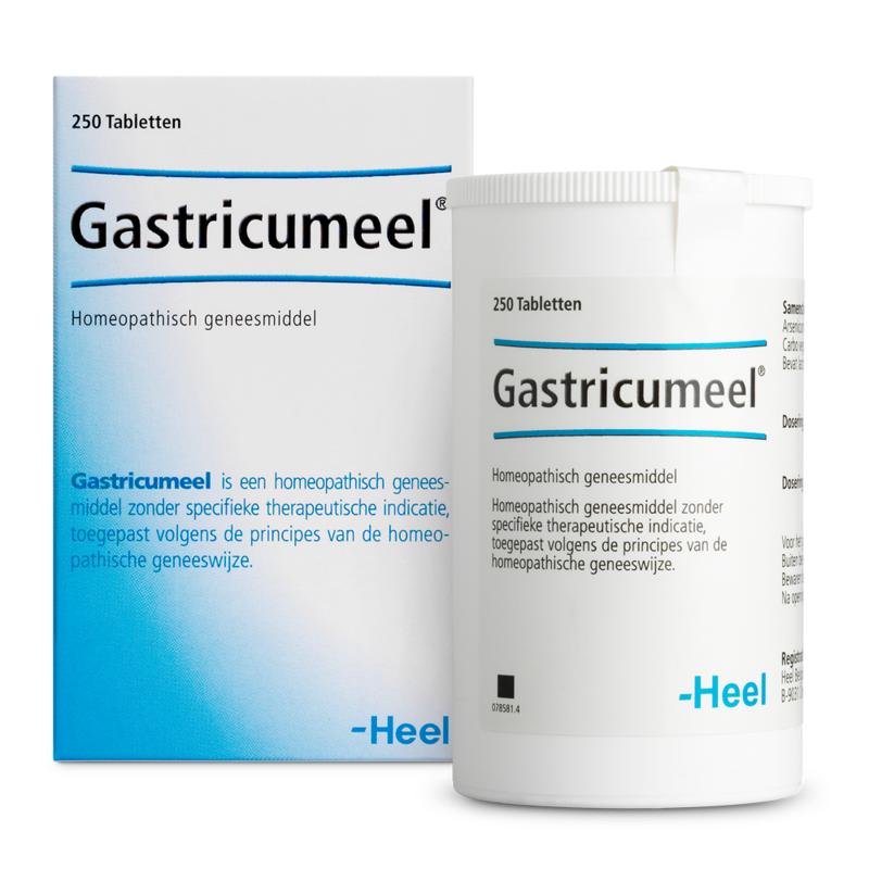 Heel Gastricumeel 250.00 Tabletten