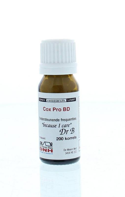 Close-up of DNH Cox Pro BD herbal supplement capsules, showing the colorful, round capsules in a clear container.