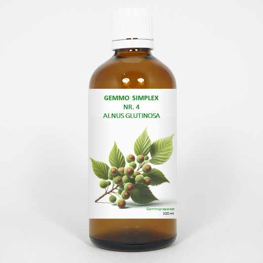Balancepharma Gemmo Simplex 4 Alnus Glutinosa herbal preparation in a 100ml bottle, with a clear label showing product details.