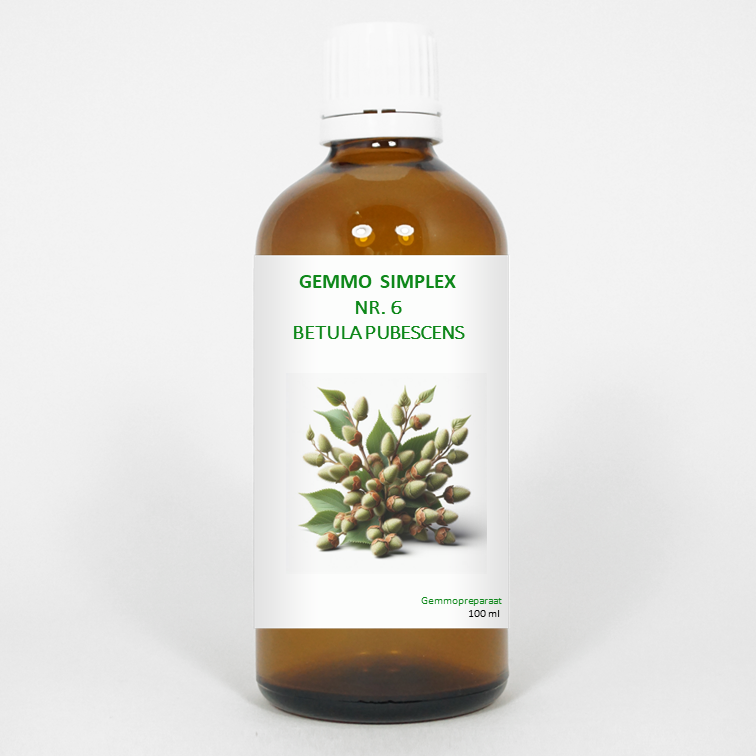 Balancepharma Gemmo Simplex 6 Betula Pubescens herbal supplement in a 100ml bottle, part of Balancepharma's herbal preparations.