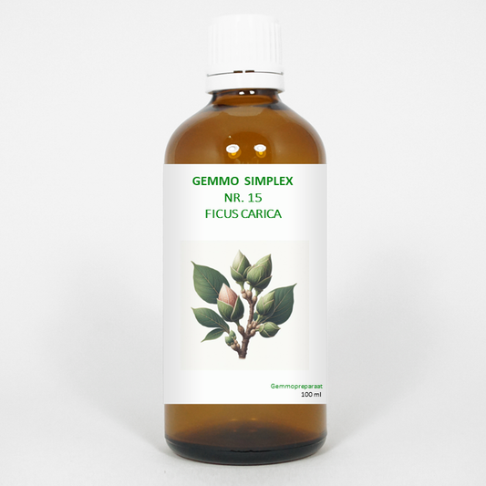 Balancepharma Gemmo simplex 15 ficus carica 100.00 Milliliter