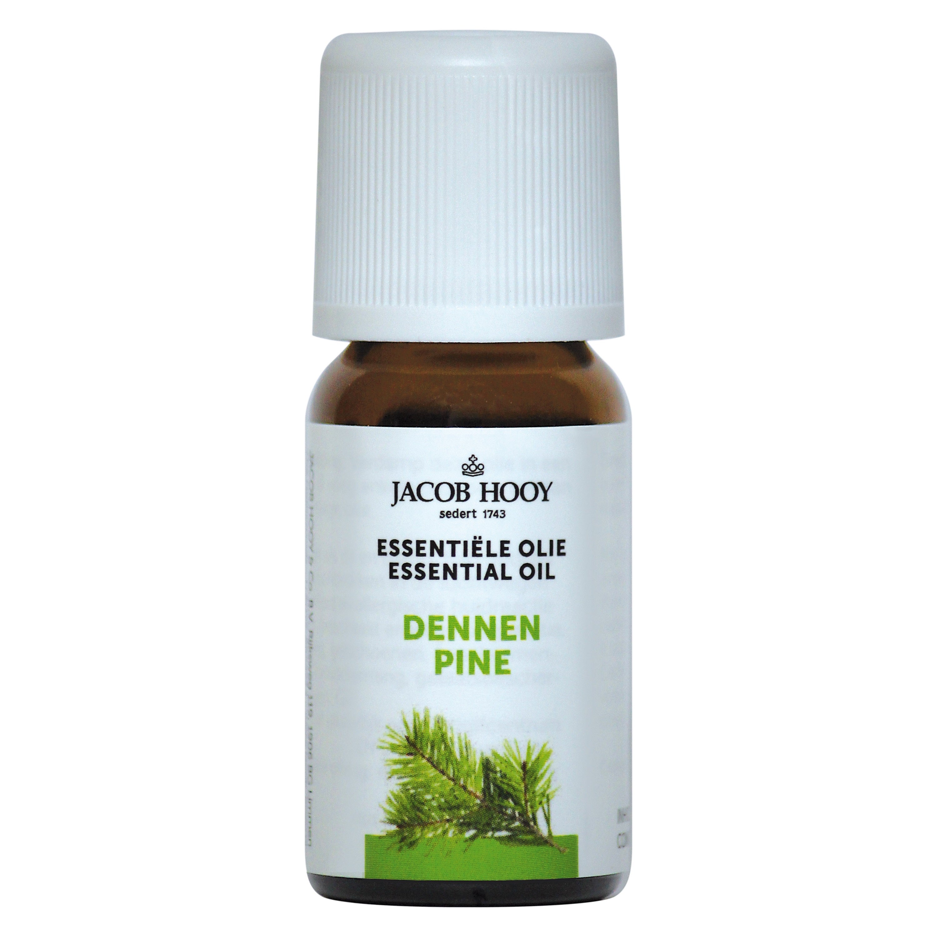Jacob Hooy Dennen olie 10 Milliliter