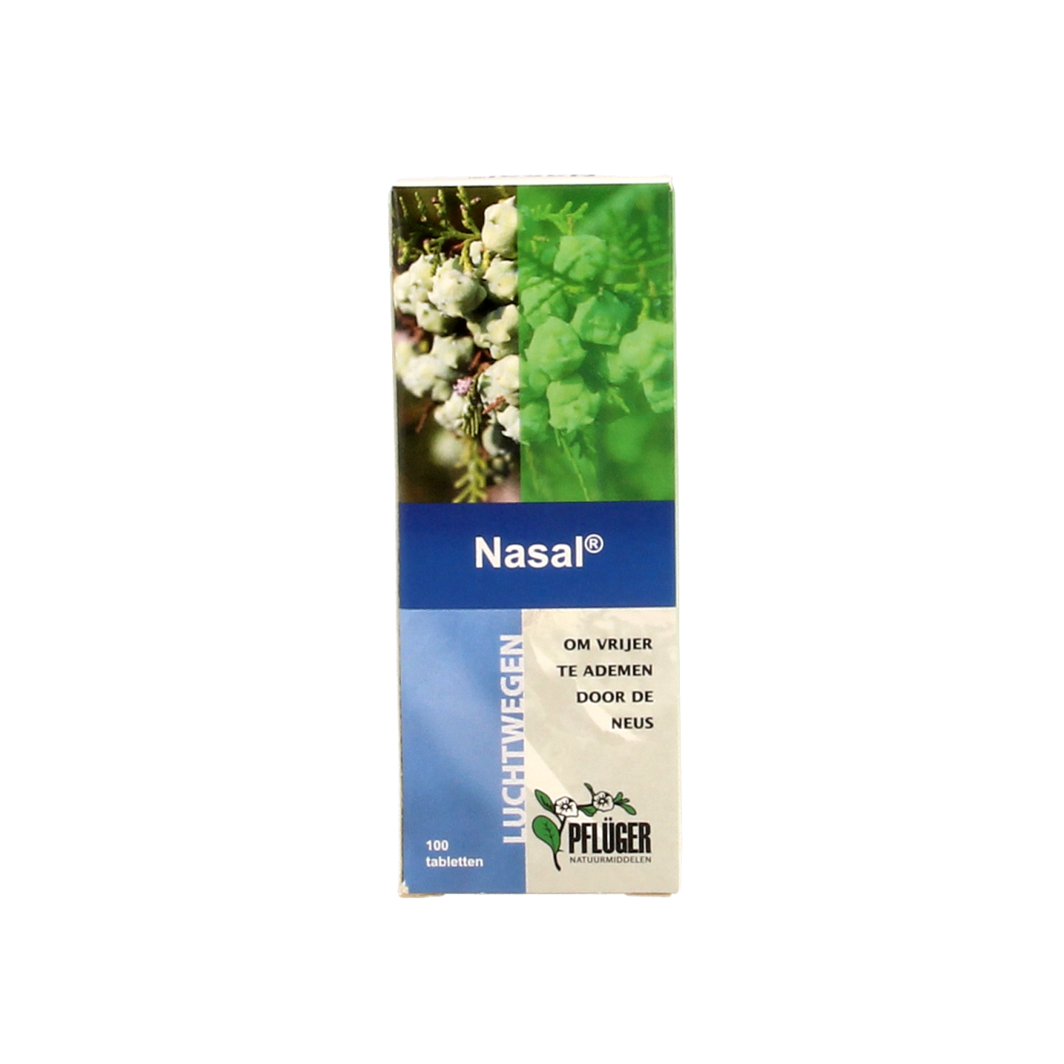 Pflüger Nasal 100.00 Tabletten