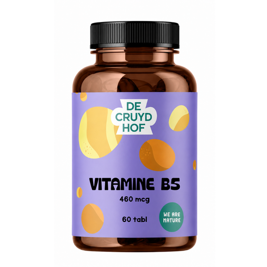De Cruydhof Vitamin B5 supplement in a bottle with 60 tablets, dietary supplement for healthy skin and energy.