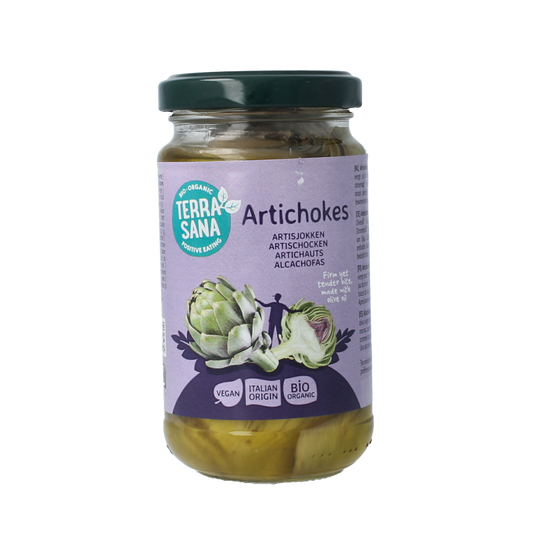 TerraSana Artisjokken in olijfolie bio 170 Gram