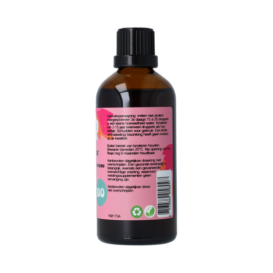 De Cruydhof Glechoma hederacea / hondsdraf tinctuur bio 100.00 Milliliter