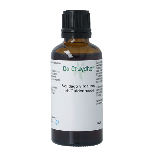 Cruydhof Solidago virg herb / guldenroede tinctuur 50.00 Milliliter