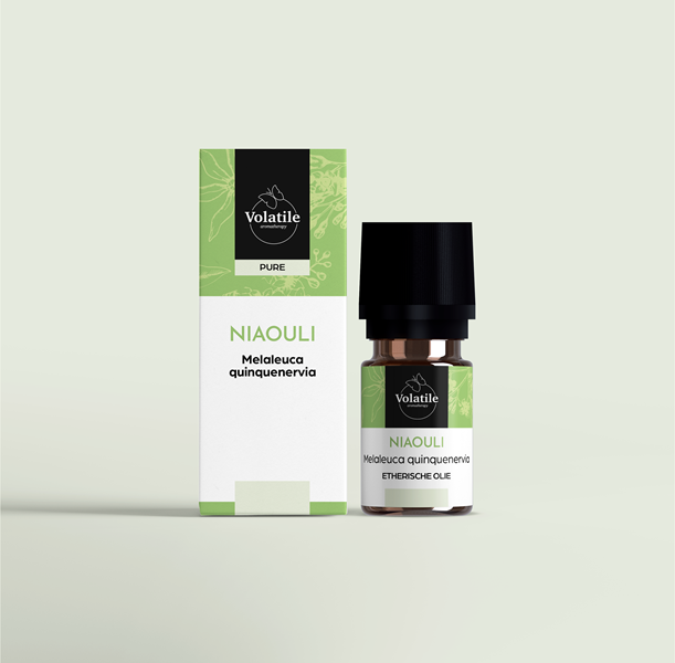 Volatile Niaouli essential oil in 5ml bottle with dropper, natural aromatic oil for wellness and aromatherapy.