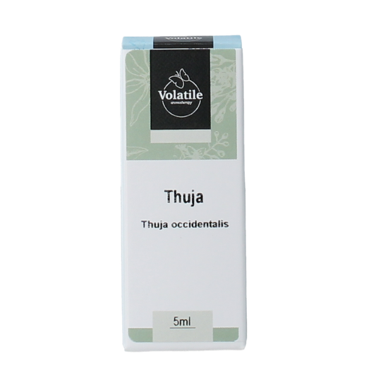 Volatile Thuja essential oil in a 5ml bottle, natural aromatic oil from Volatile, with a clear glass container and label.