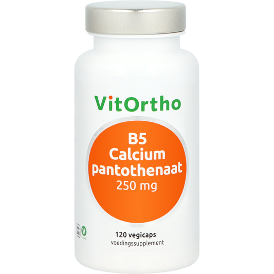 VitOrtho B5 calcium pantothenaat 250mg 120.00 Vegetarische capsules