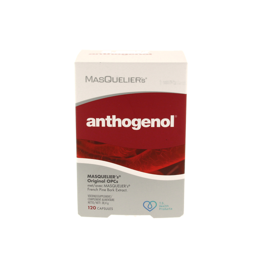 Masqueliers Anthogenol 120 capsules of herbal supplement in a white bottle, with the product label visible.