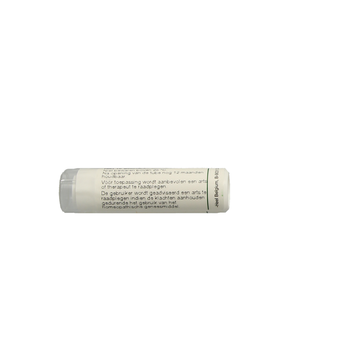 Homeoden Heel Natrium muriaticum 200k 6.00 Gram