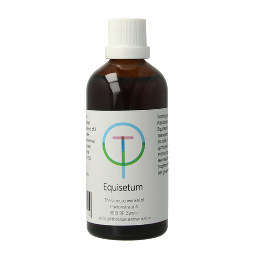 Therapeutenwinkel Equisetum 100 Milliliter