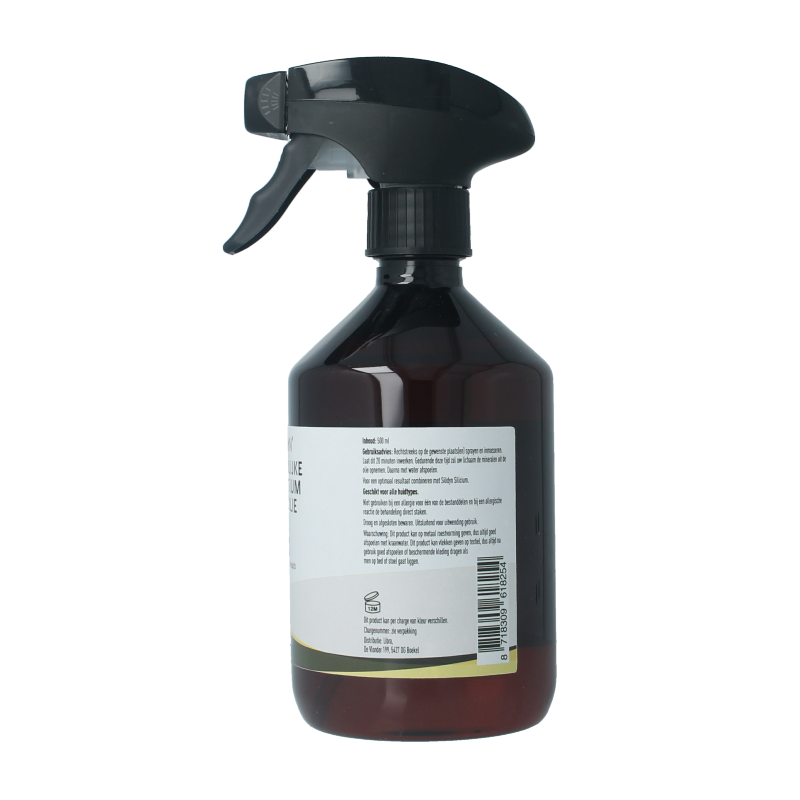 Silidyn Magnesium zout olie spray 38% 500 Milliliter