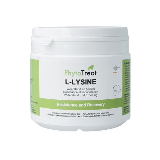 PhytoTreat L-lysine supplement for dogs and cats, 150g, in a white container with a label showing product details.