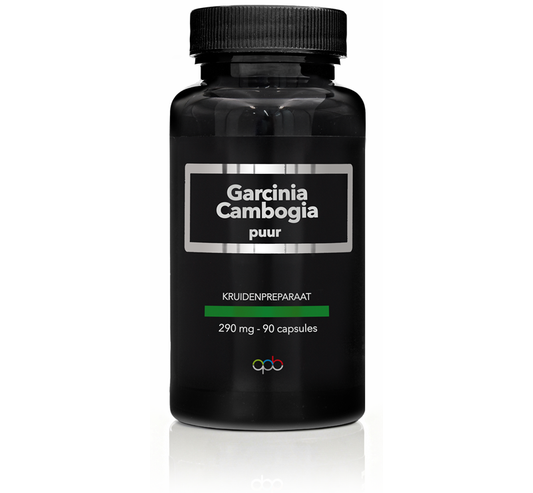 APB Holland Garcinia cambogia puur 290mg 90 Vegetarische capsules
