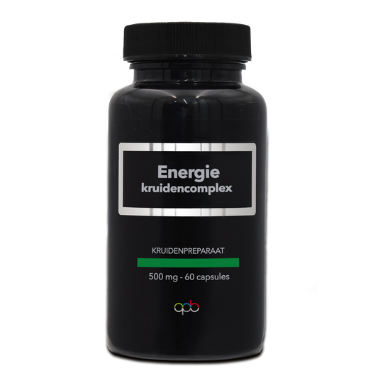 APB Holland Energie kruidencomplex puur 500mg 60.00 Capsules