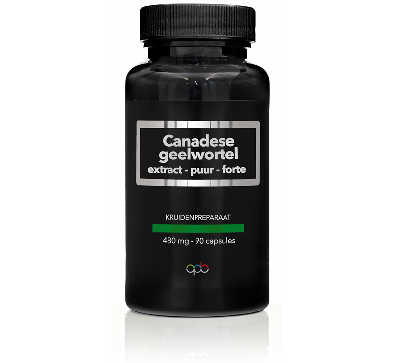 APB Holland Canadese geelwortel extract puur forte 480mg 90 Vegetarische capsules