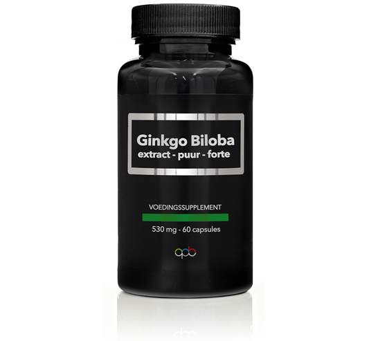 APB Holland Ginkgo Biloba extract puur forte 530mg capsules, herbal supplement in a bottle, showing 60 capsules on the label.