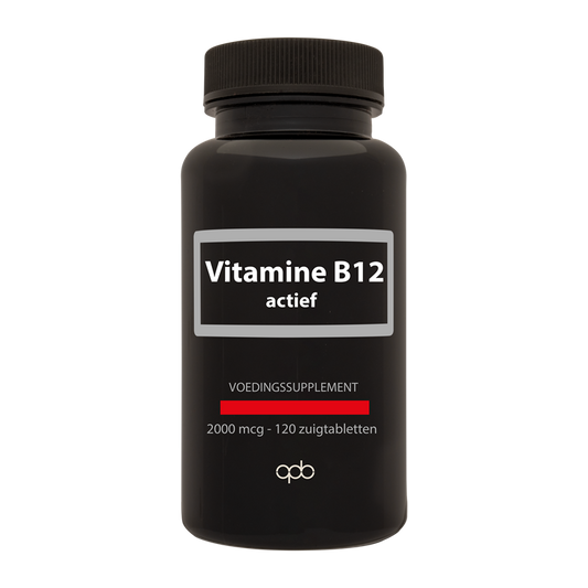 APB Holland Vitamine B12 actief 2000mcg 120.00 Zuigtabletten