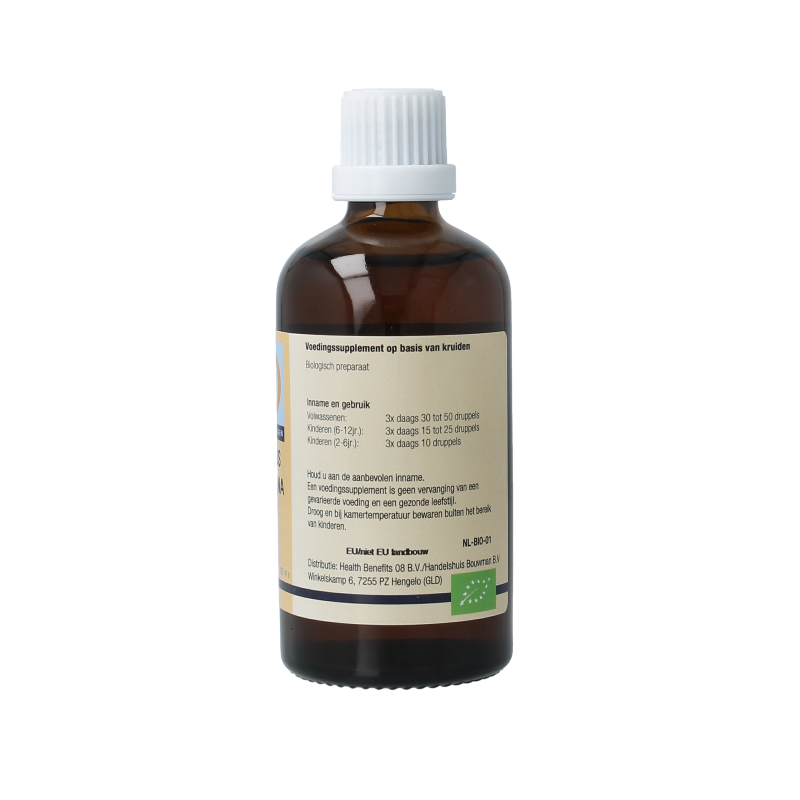 GO Corylus avellana bio 100 Milliliter