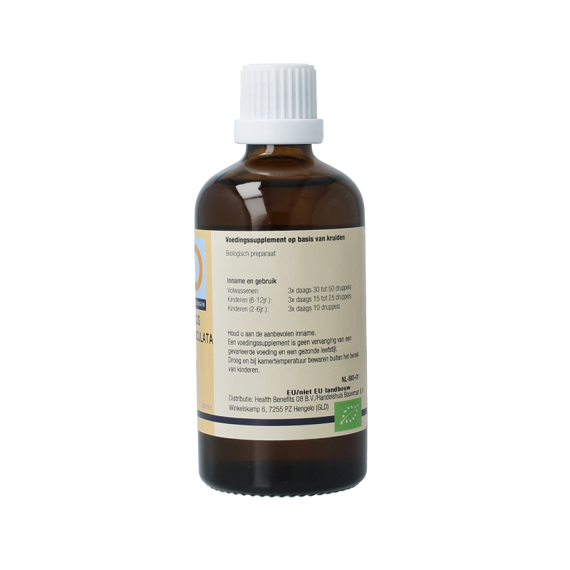 GO Quercus pedunculata 100 Milliliter