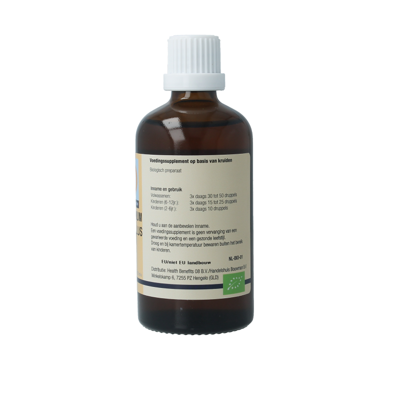 GO Vaccinium myrtyllus bio 100 Milliliter