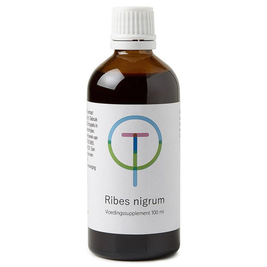 Therapeutenwinkel Ribes nigrum zwarte bes 100.00 Milliliter