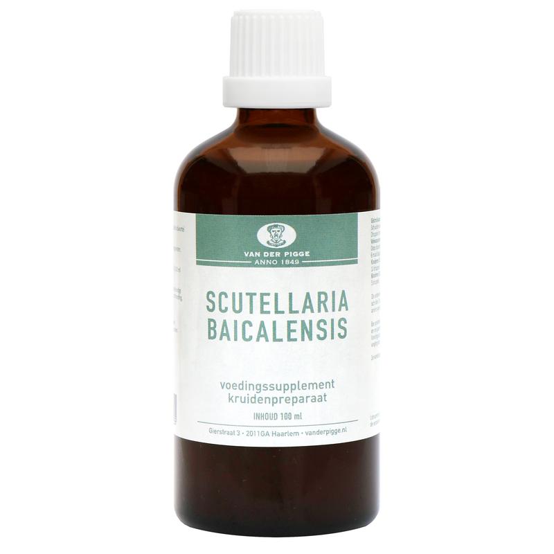 Van der Pigge Scutellaria baicelensis tincture in a 100ml bottle, herbal supplement from van der Pigge Kruidenpreparaten.