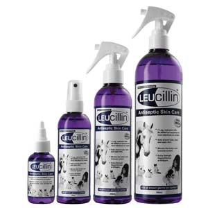 Leucillin Dropper 50ml for pet care, clear plastic dropper bottle with Leucillin branding and white cap.