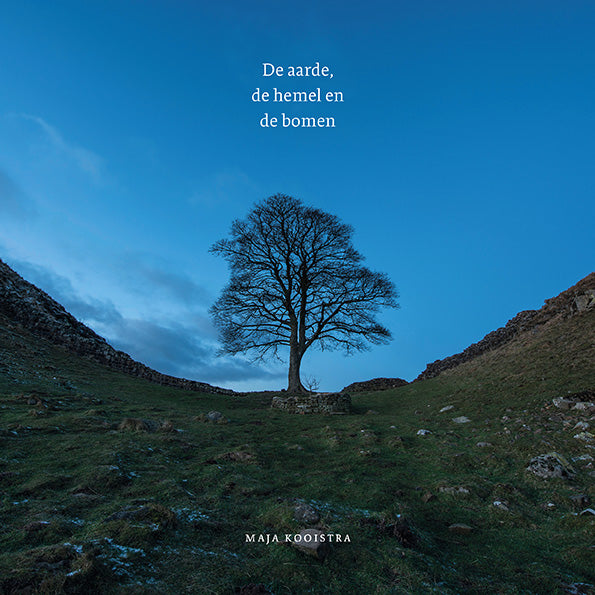 A3 boeken hardcover book titled "De aarde de hemel en de bomen" showing colorful cover art and title text.