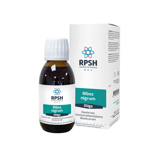 RPSH Oligo Ribes nigrum - Zwarte bes 120.00 Milliliter