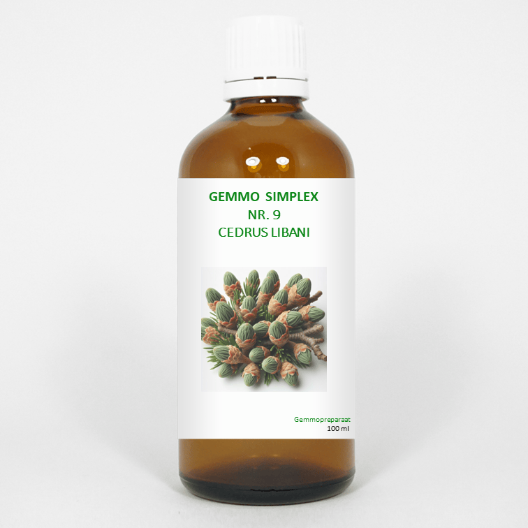 Balancepharma Kruidenpreparaten 100.00 Milliliter Balancepharma Gemmo simplex 9 cedrus libani 100.00 Milliliter