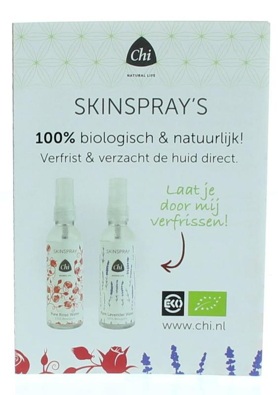Chi Skinspray Pure Flyer B2C folder with one pack of Chi-branded skin spray flyers, displayed on a clean white background.