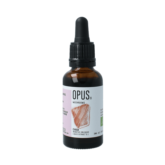 Opus Mushrooms Kruidenpreparaten 30.00 Milliliter Opus Mushrooms Chaga 2:1 bio 30.00 Milliliter
